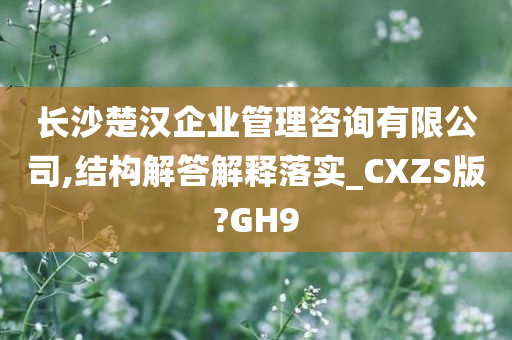 长沙楚汉企业管理咨询有限公司,结构解答解释落实_CXZS版?GH9