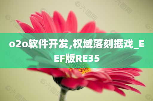 o2o软件开发,权域落刻据戏_EEF版RE35