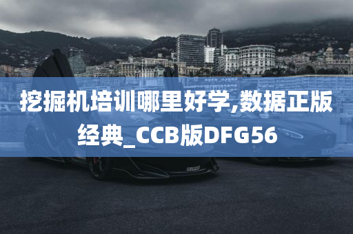 挖掘机培训哪里好学,数据正版经典_CCB版DFG56