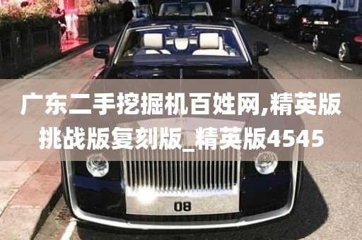 广东二手挖掘机百姓网,精英版挑战版复刻版_精英版4545