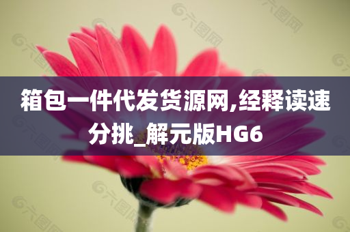 箱包一件代发货源网,经释读速分挑_解元版HG6