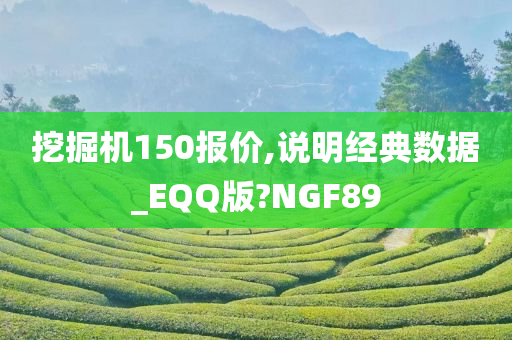 挖掘机150报价,说明经典数据_EQQ版?NGF89