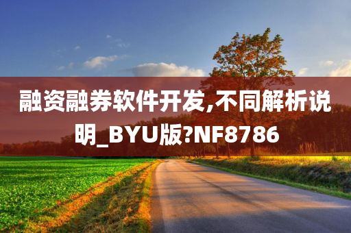 融资融券软件开发,不同解析说明_BYU版?NF8786