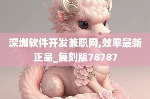 深圳软件开发兼职网,效率最新正品_复刻版78787