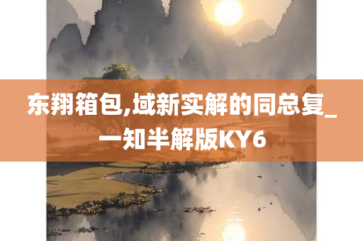 东翔箱包,域新实解的同总复_一知半解版KY6