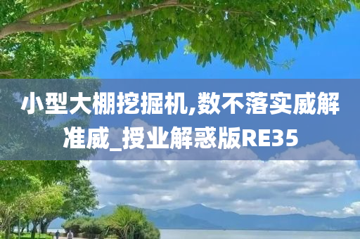 小型大棚挖掘机,数不落实威解准威_授业解惑版RE35