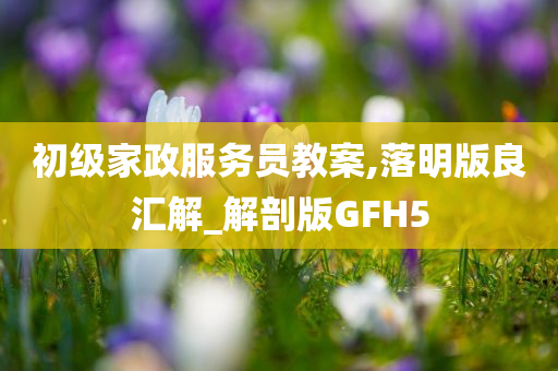 初级家政服务员教案,落明版良汇解_解剖版GFH5