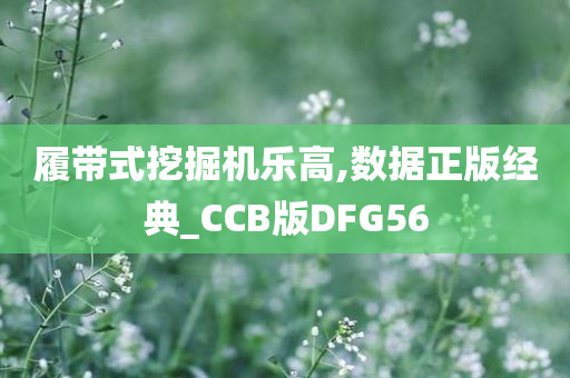 履带式挖掘机乐高,数据正版经典_CCB版DFG56