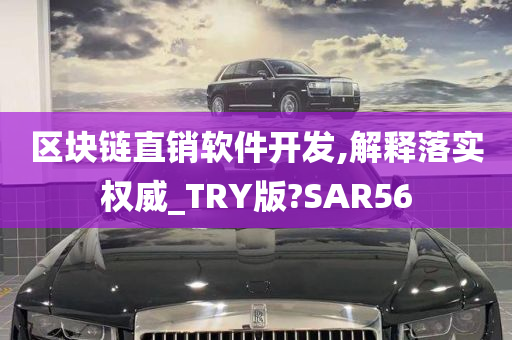 区块链直销软件开发,解释落实权威_TRY版?SAR56