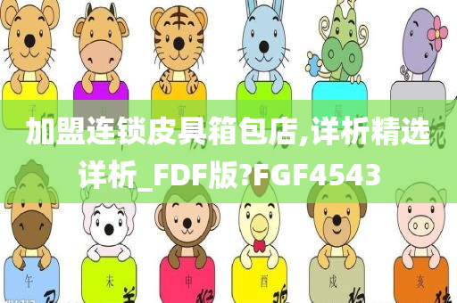 加盟连锁皮具箱包店,详析精选详析_FDF版?FGF4543