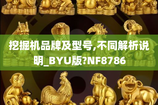 挖掘机品牌及型号,不同解析说明_BYU版?NF8786