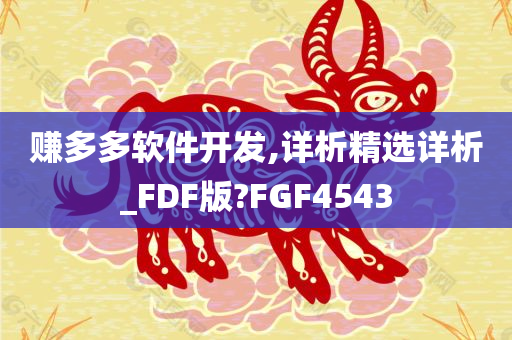 赚多多软件开发,详析精选详析_FDF版?FGF4543