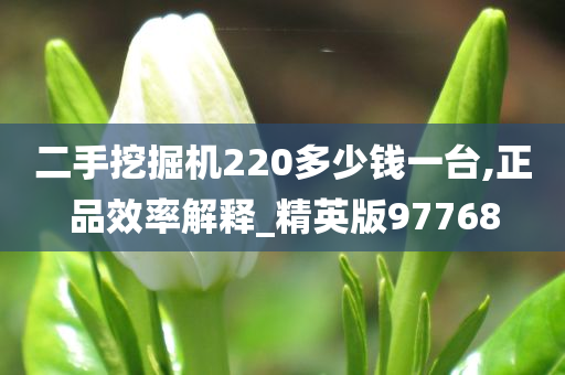 二手挖掘机220多少钱一台,正品效率解释_精英版97768