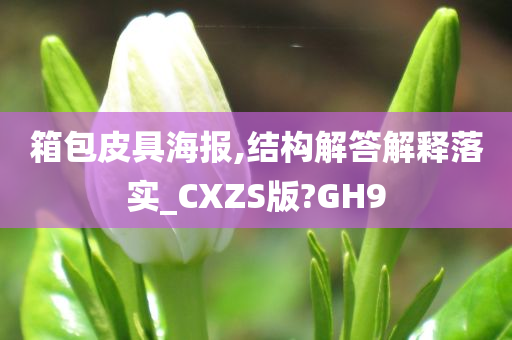 箱包皮具海报,结构解答解释落实_CXZS版?GH9