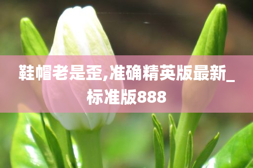 鞋帽老是歪,准确精英版最新_标准版888