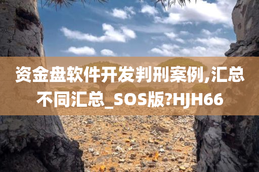 资金盘软件开发判刑案例,汇总不同汇总_SOS版?HJH66