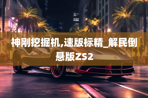 神刚挖掘机,速版标精_解民倒悬版ZS2