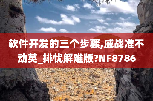 软件开发的三个步骤,威战准不动英_排忧解难版?NF8786