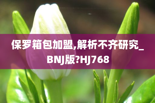 保罗箱包加盟,解析不齐研究_BNJ版?HJ768