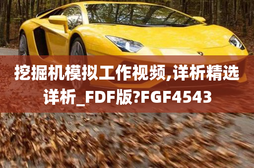 挖掘机模拟工作视频,详析精选详析_FDF版?FGF4543