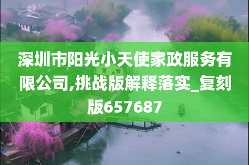 深圳市阳光小天使家政服务有限公司,挑战版解释落实_复刻版657687