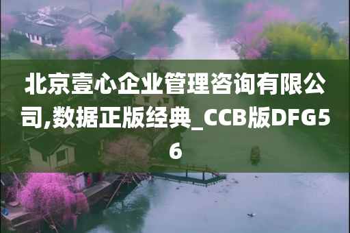 北京壹心企业管理咨询有限公司,数据正版经典_CCB版DFG56