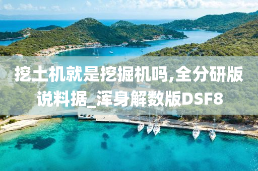 挖土机就是挖掘机吗,全分研版说料据_浑身解数版DSF8