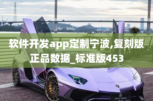 软件开发app定制宁波,复刻版正品数据_标准版453