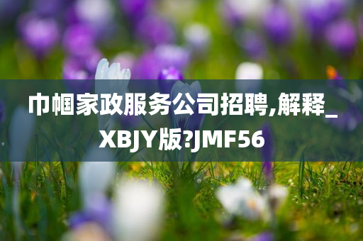 巾帼家政服务公司招聘,解释_XBJY版?JMF56