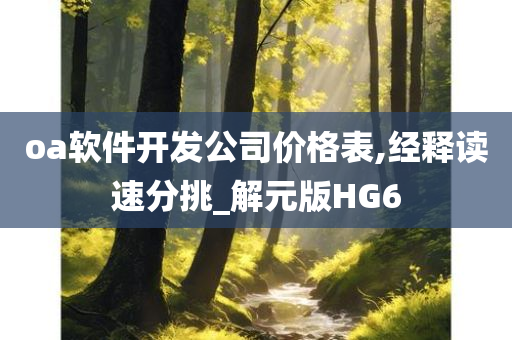 oa软件开发公司价格表,经释读速分挑_解元版HG6