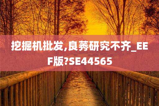 挖掘机批发,良莠研究不齐_EEF版?SE44565