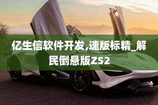 亿生信软件开发,速版标精_解民倒悬版ZS2