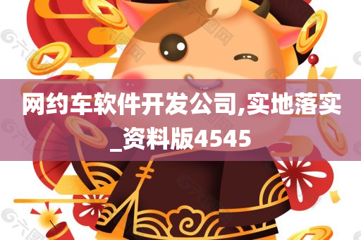 网约车软件开发公司,实地落实_资料版4545