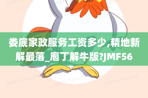 娄底家政服务工资多少,精地新解最落_庖丁解牛版?JMF56