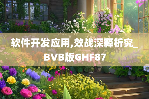 软件开发应用,效战深释析究_BVB版GHF87