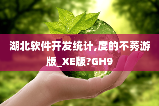 湖北软件开发统计,度的不莠游版_XE版?GH9