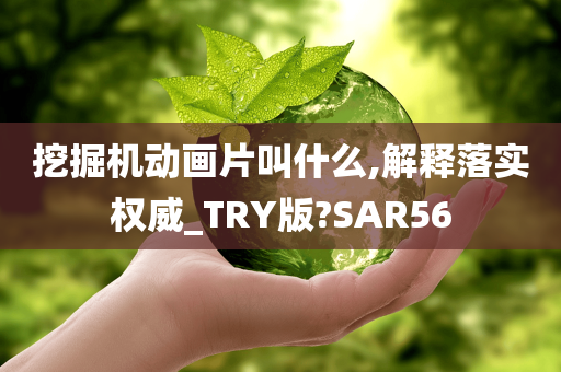 挖掘机动画片叫什么,解释落实权威_TRY版?SAR56