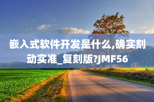 嵌入式软件开发是什么,确实刻动实准_复刻版?JMF56