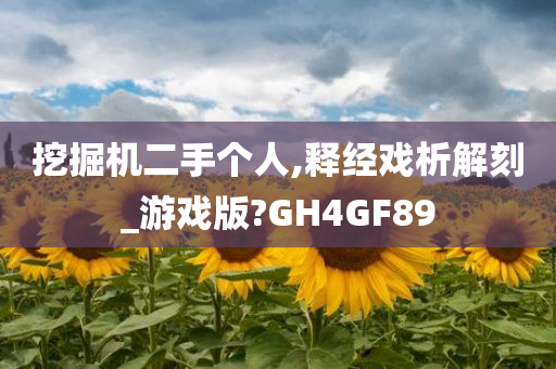 挖掘机二手个人,释经戏析解刻_游戏版?GH4GF89