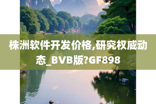 株洲软件开发价格,研究权威动态_BVB版?GF898