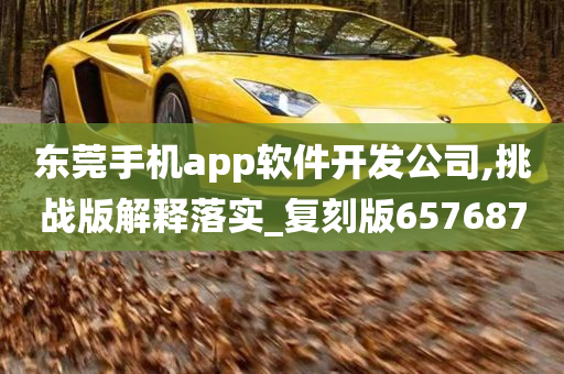 东莞手机app软件开发公司,挑战版解释落实_复刻版657687