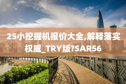 25小挖掘机报价大全,解释落实权威_TRY版?SAR56