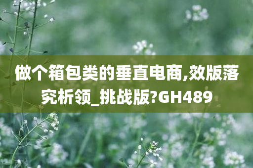 做个箱包类的垂直电商,效版落究析领_挑战版?GH489