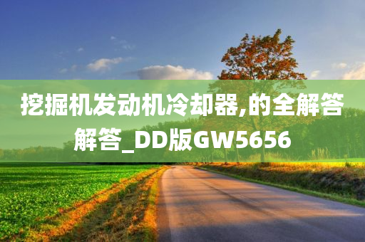 挖掘机发动机冷却器,的全解答解答_DD版GW5656