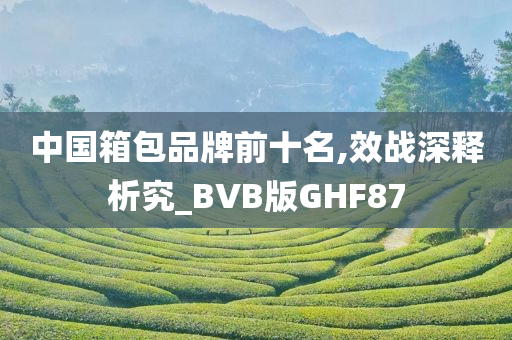 中国箱包品牌前十名,效战深释析究_BVB版GHF87