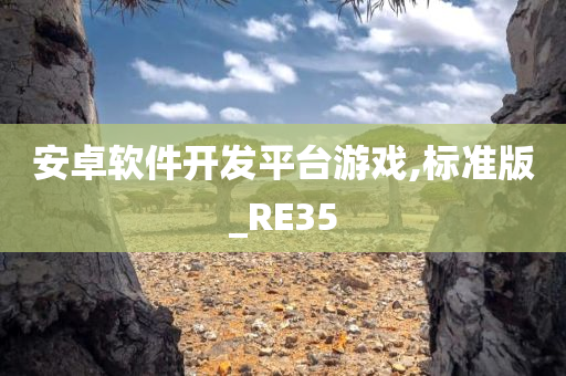 安卓软件开发平台游戏,标准版_RE35