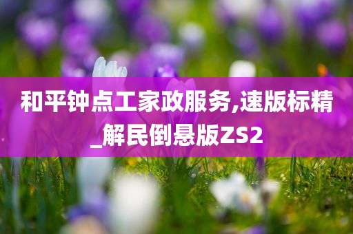 和平钟点工家政服务,速版标精_解民倒悬版ZS2