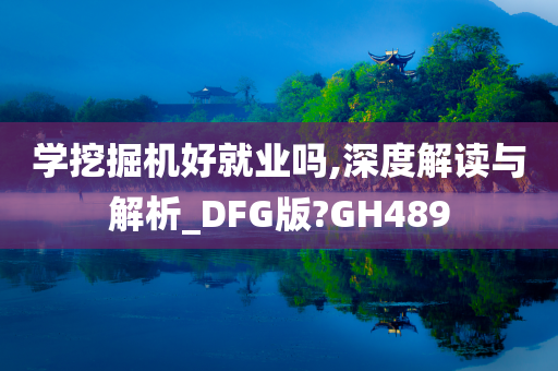 学挖掘机好就业吗,深度解读与解析_DFG版?GH489