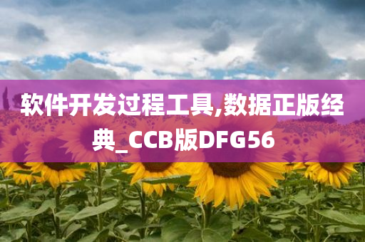 软件开发过程工具,数据正版经典_CCB版DFG56