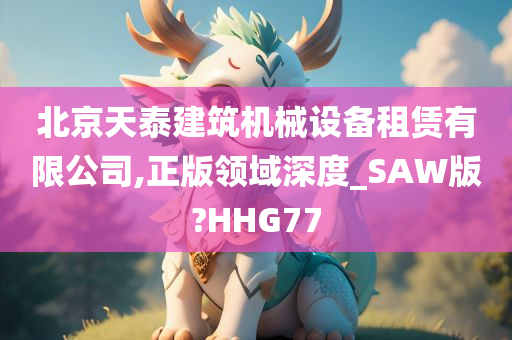 北京天泰建筑机械设备租赁有限公司,正版领域深度_SAW版?HHG77